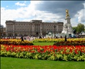 Buckingham Palace in Spring
